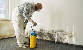 Mold Remediation for Rental Properties in Wyoming, OH